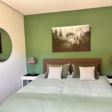 Theview Harz Moderne Mit Pool, Sauna, Bergblick Διαμέρισμα Bad Harzburg
