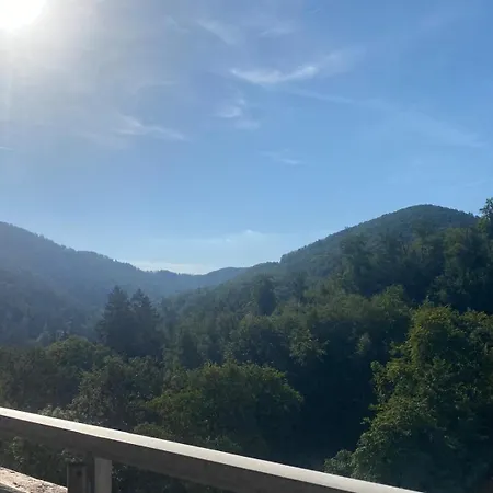 Διαμέρισμα Theview Harz Moderne Mit Pool, Sauna, Bergblick *